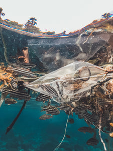 plastic trash floating in the ocean surrounded by fish